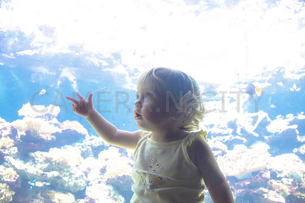 Underwater Love