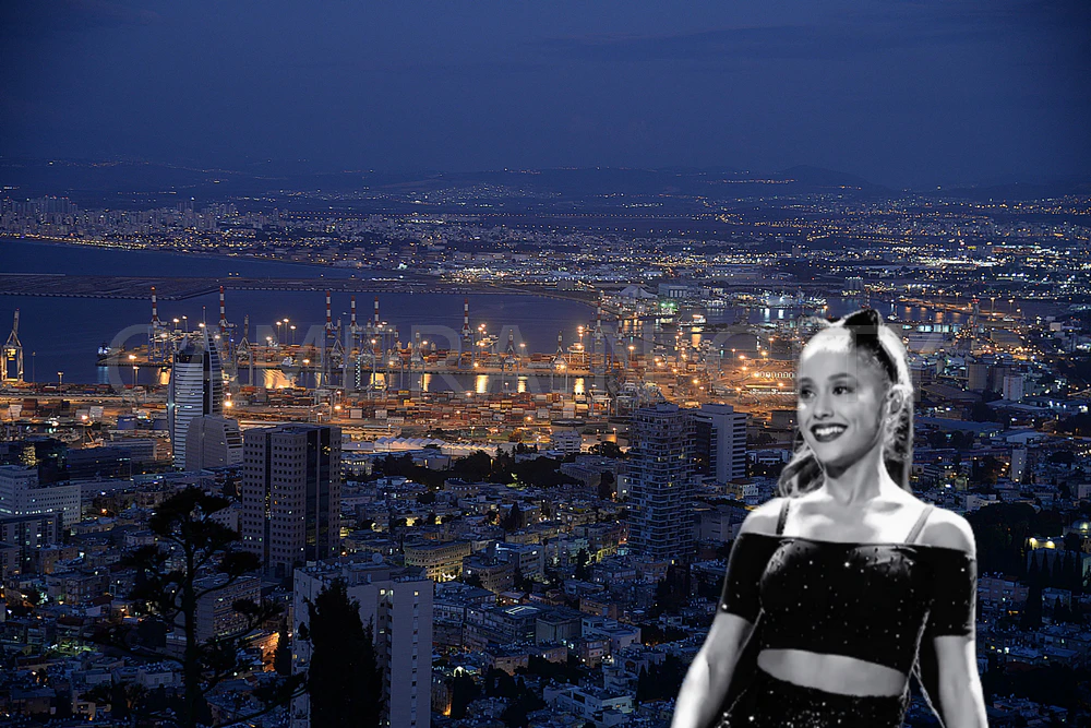 Bay Night