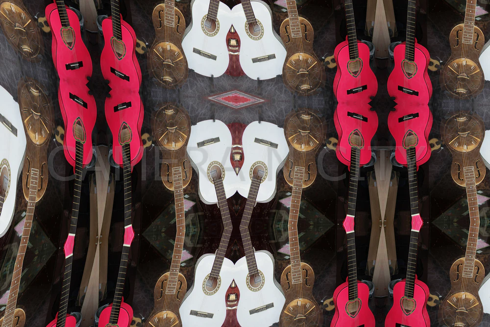 Guitar