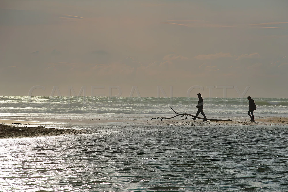 Silent Shore