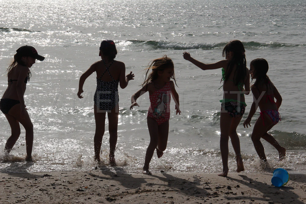 Wild N Free